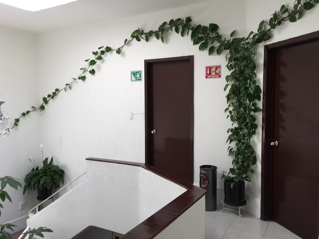 Casa Maria Elena Condesa (Adults Only) Hotel Мексико Сити Екстериор снимка