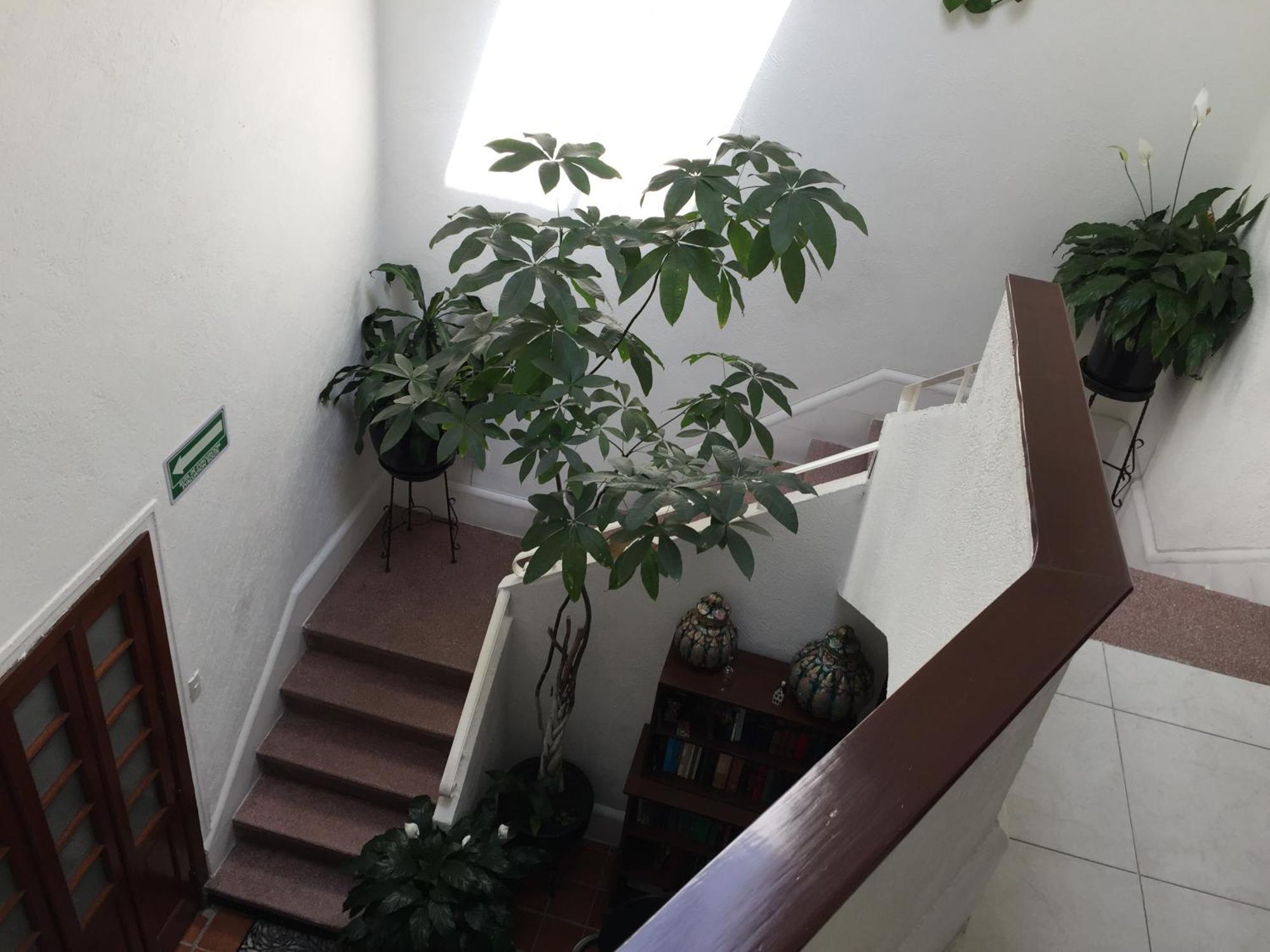 Casa Maria Elena Condesa (Adults Only) Hotel Мексико Сити Екстериор снимка